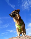 DSC04023.jpg