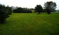 DSC06129.JPG