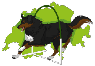Green_ohne.png