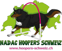 green mit pink.png