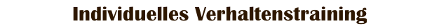 Individuelles Verhaltenstraining